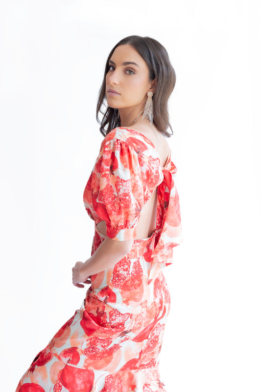 Vestido Paloma Granadas